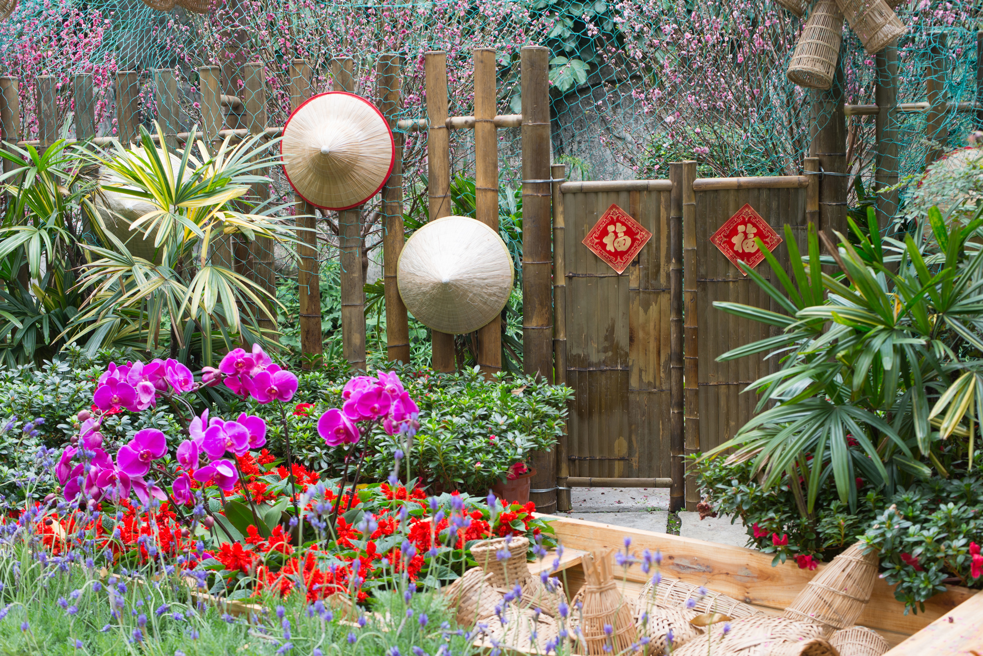 Bahçenizdeki Yeşil Dokunuş: Bitkilerin Feng Shui Etkisi
