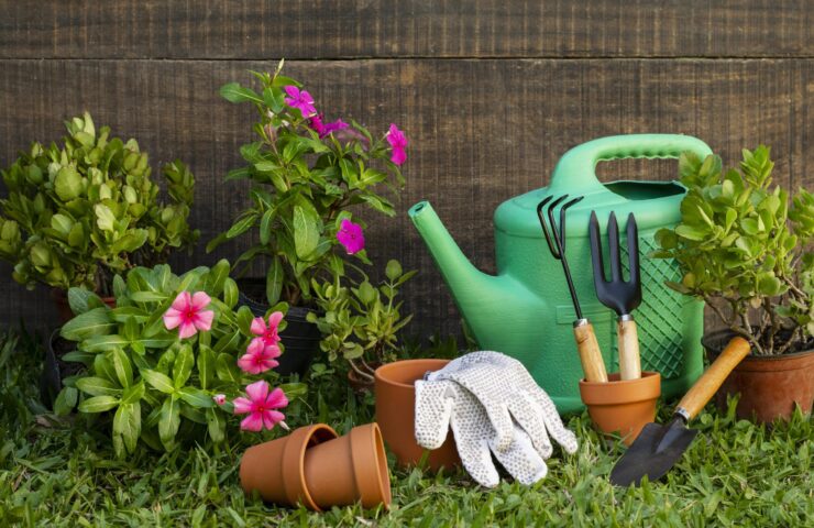 plants-pot-with-watering-can