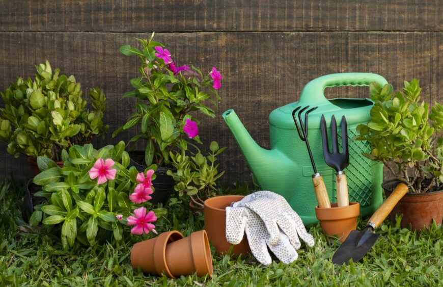 plants-pot-with-watering-can